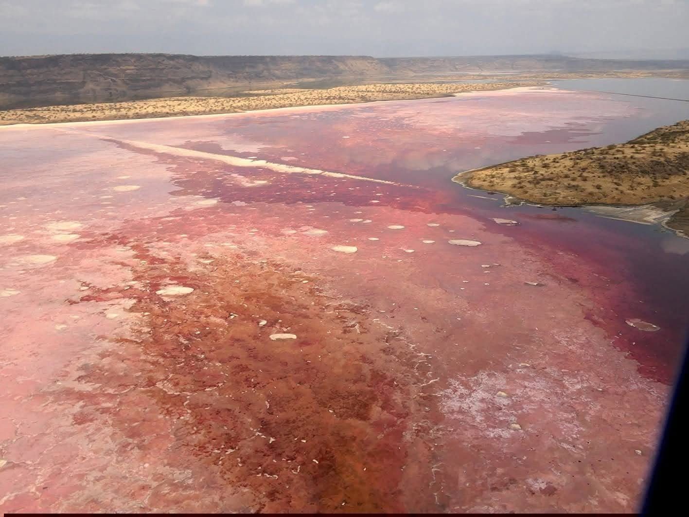 Aerial view of the pink salt flats of Lake Magadi near Nguruman